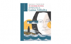 As escumas da letra Luisa Villalta